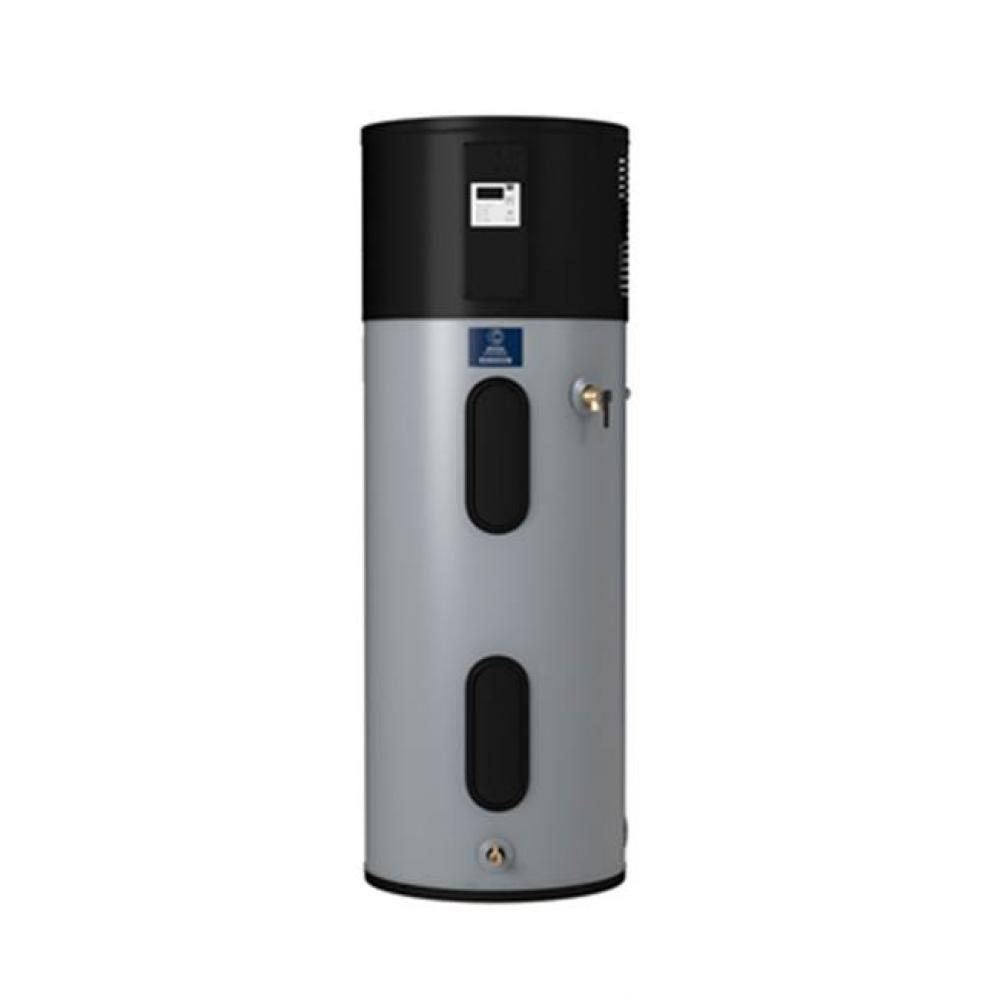 Premier 50-Gallon Hybrid Electric Heat Pump Water Heater