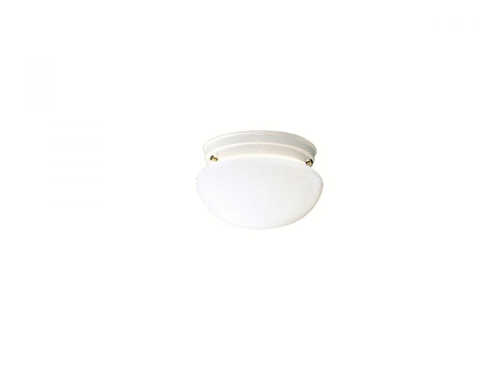 Flush Mount 1Lt (12 pack)