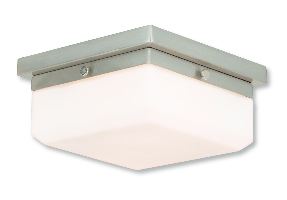 2 Light BN Wall Sconce/Ceiling Mount