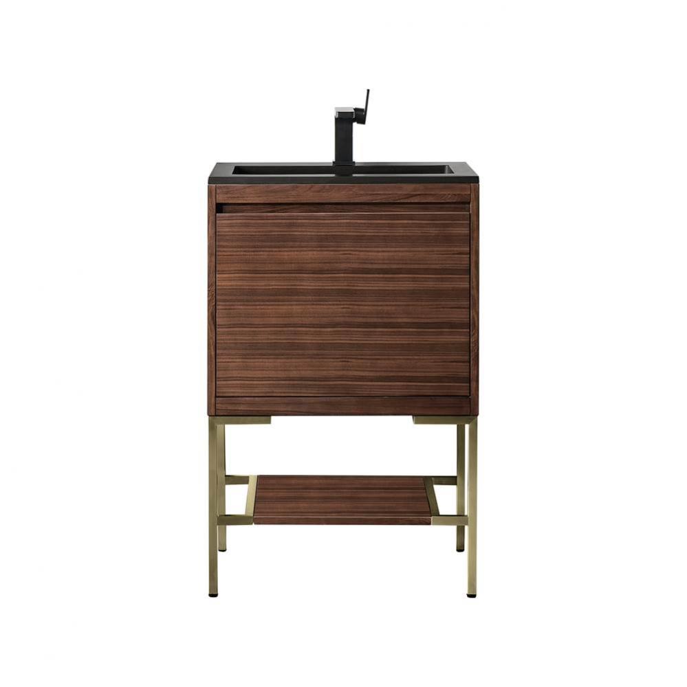 Mantova 23.6&apos;&apos; Single Vanity, Mid-Century Walnut, Champagne Brass Base w/ Charcoal Black