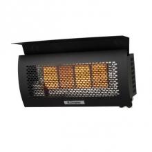 Dimplex DGR32WNG - Wall Mounted Natural Gas Radiant Heater 32K BTU