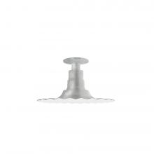 Montclair Light Works FMB158-49-G05 - 12" Radial shade, Flush Mount Light ceiling light with clear glass and cast guard