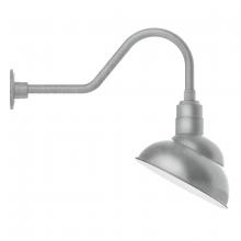 Montclair Light Works GNB121-49 - Emblem 12" gooseneck wall light