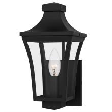 Quoizel QTN8406EK - Quentin 1-Light Earth Black Outdoor Wall Lantern