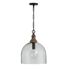 Capital 336011YP-485 - 1 Light Pendant