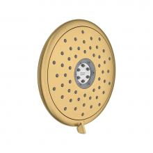 American Standard 9038074.GN0 - Spectra Fixed™ 7-Inch 1.8 gpm/6.8 L/min Fixed Showerhead