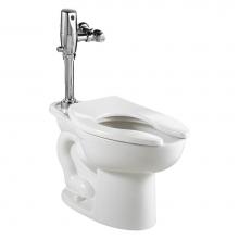 American Standard 3451511.020 - Madera 15-Inch EverClean® Toilet System With Touchless Selectronic® Piston Flush Valve,