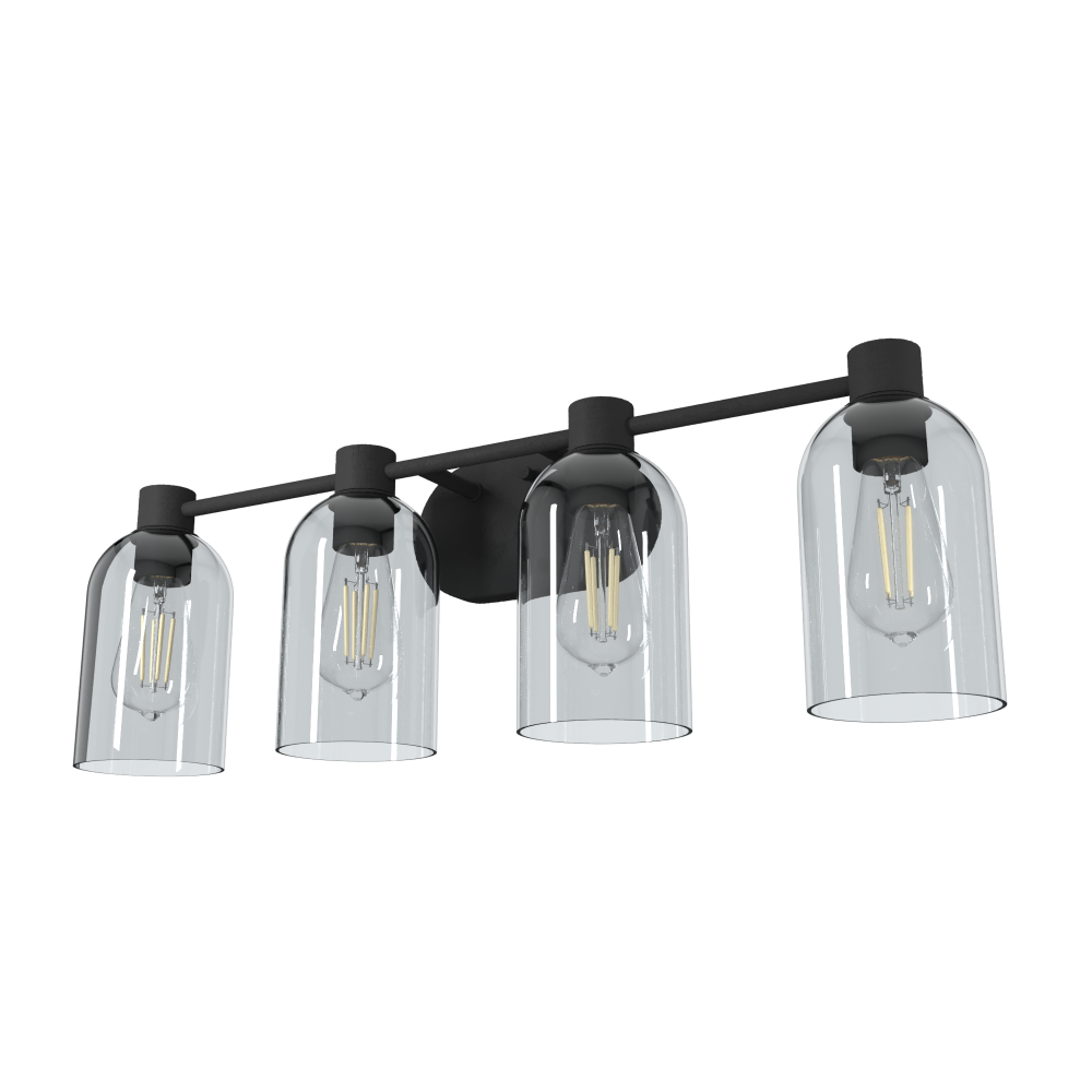 Hunter Lochemeade Natural Black Iron with Smoked Glass 4 Light Bathroom Vanity Wall Light Fixture