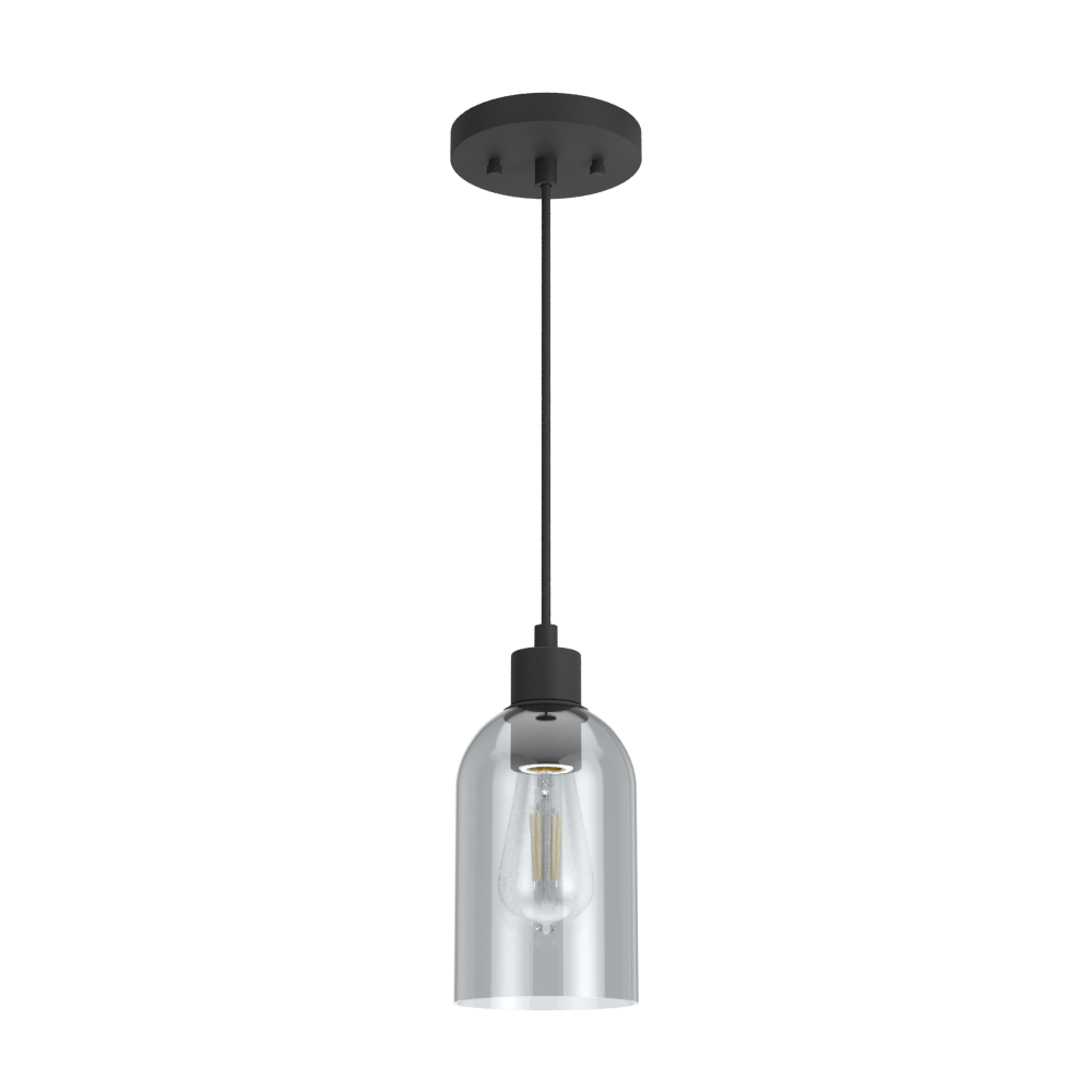 Hunter Lochemeade Natural Black Iron with Smoked Glass 1 Light Pendant Ceiling Light Fixture