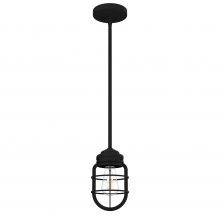 Hunter 19694 - Hunter Starklake Natural Black Iron 1 Light Pendant Ceiling Light Fixture