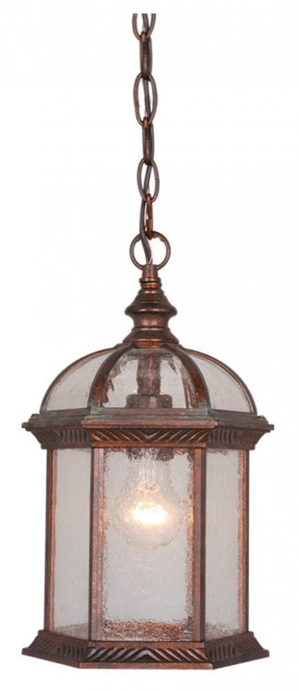 Chateau 8&#34; Outdoor Pendant