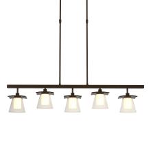 Hubbardton Forge 136605-SKT-STND-14-ZU0284 - Wren 5 Light Pendant