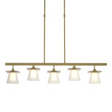 Hubbardton Forge 136605-SKT-STND-86-ZU0284 - Wren 5 Light Pendant