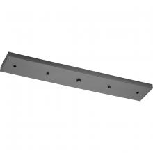 Progress P8404-143 - P8404-143 CANOPY ACCESSORY