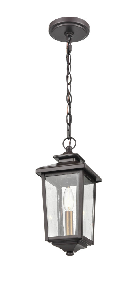 Eldrick 1-Light Outdoor Hanging Lantern Powder Coated Bronze