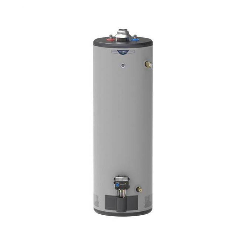 RealMAX Platinum 40-Gallon Tall Liquid Propane Atmospheric Water Heater