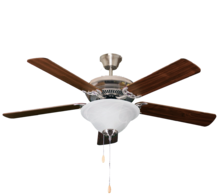 HOMEnhancements 18656 - 52' 5-Blade NK Fan W/White Bowl Light Kit(2x9.5W LED 3000K)