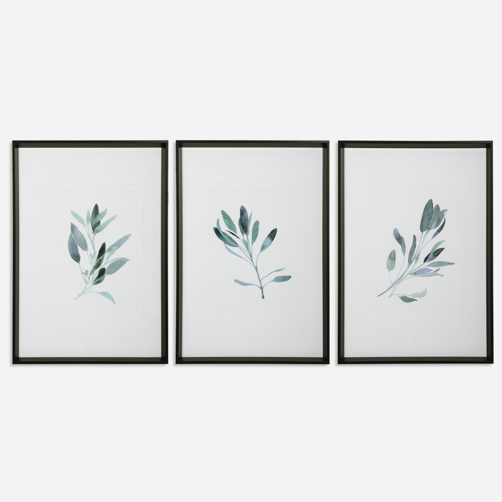 Simple Sage Watercolor Prints, S/3