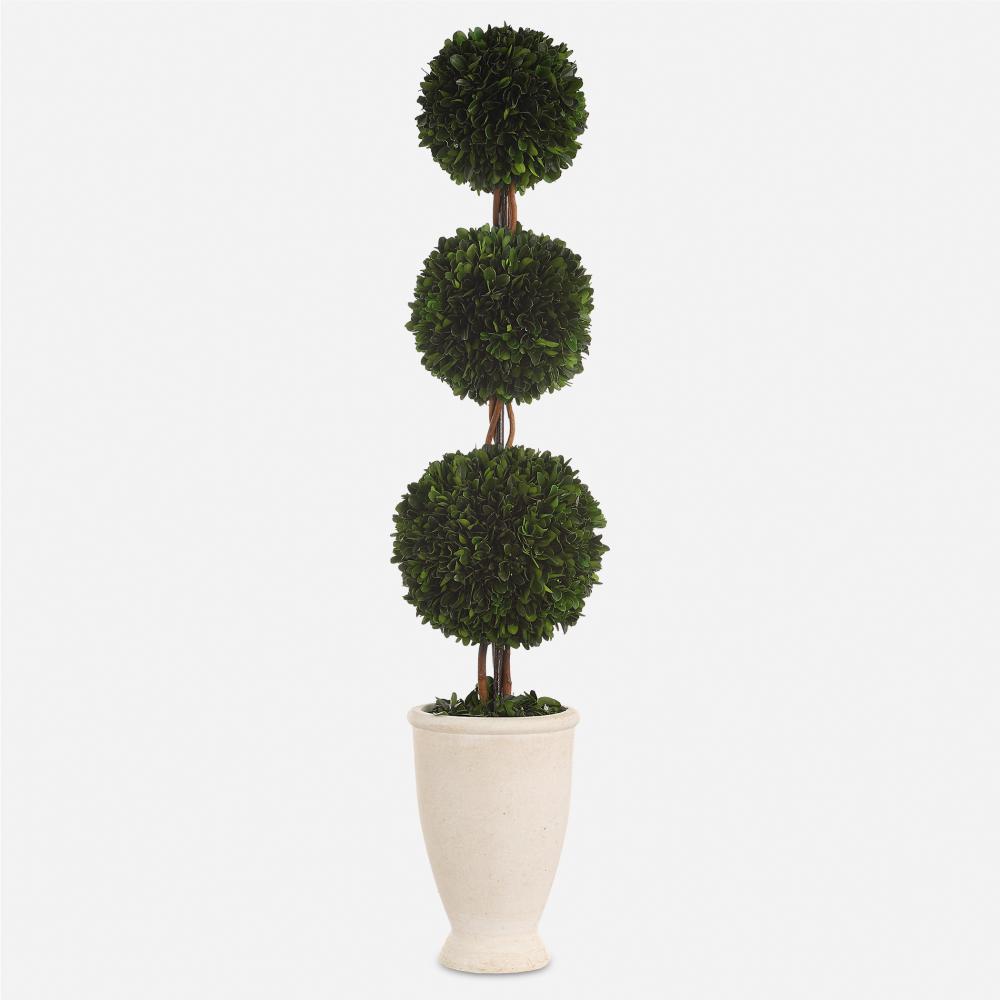 Uttermost Preserved Boxwood Triple Topiary