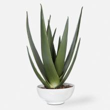 Uttermost 60177 - Evarado Aloe Planter