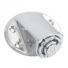 Moen Commercial 8290EP15 - Chrome showerhead