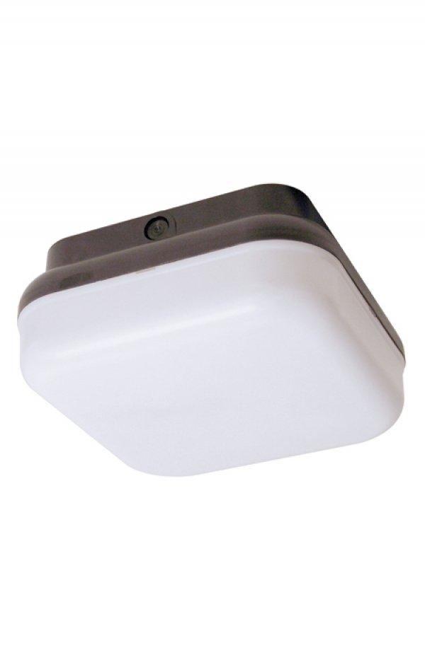 MARLEX CEILING A19 LED