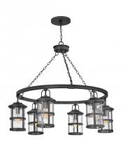 Hinkley 2689BK - Large Single Tier Chandelier