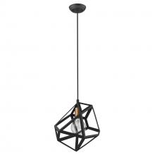 Trend Lighting by Acclaim TP30080BK - Hedron 1-Light Pendant